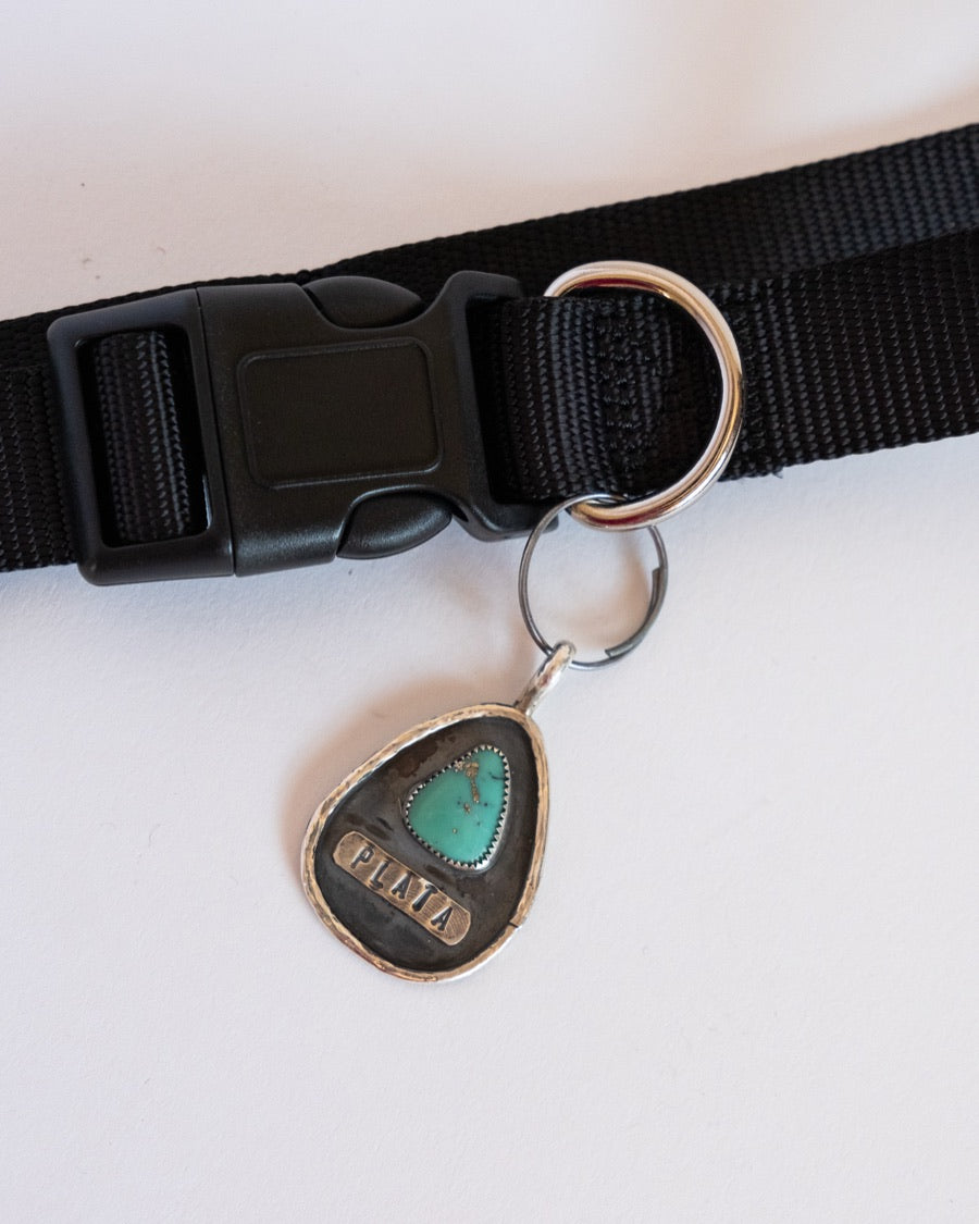 The Turquoise Pet Collar