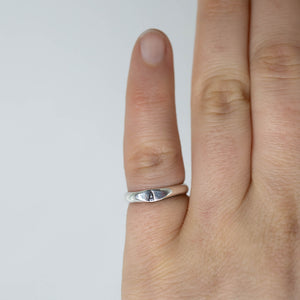 The Signature Initial Ring