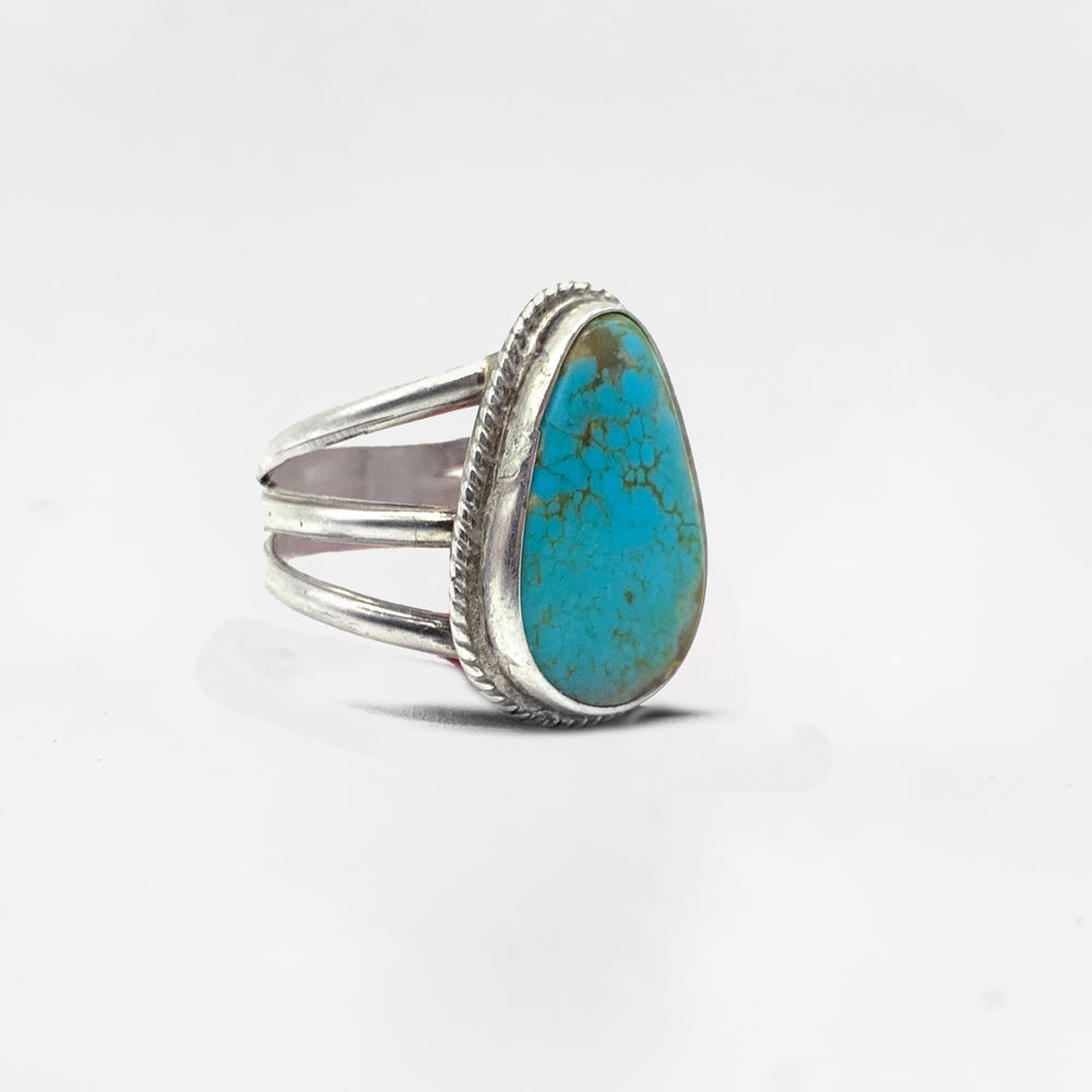 The Southwest Split Ring