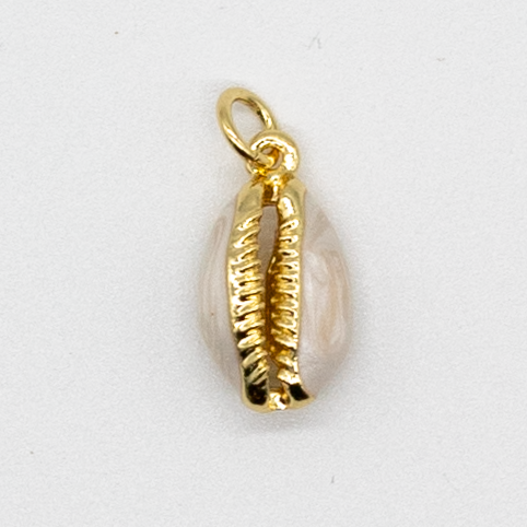 Golden Cowrie Shell