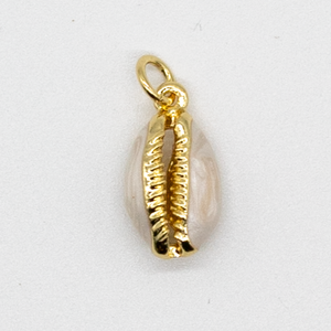 Golden Cowrie Shell