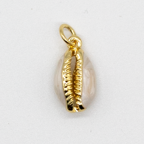 Golden Cowrie Shell