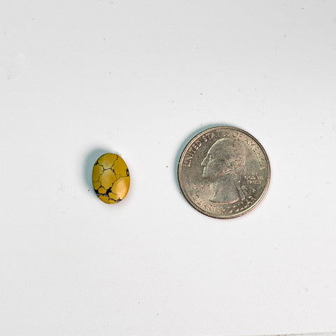 Natural Turquoise - 12