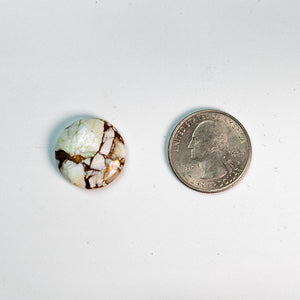 White Buffalo Mojave - 01