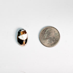 White Buffalo Mojave - 04