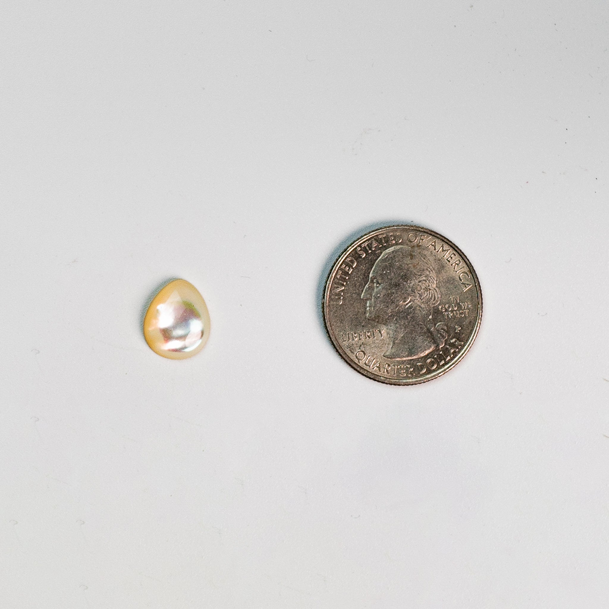 Mother of Pearl - 13