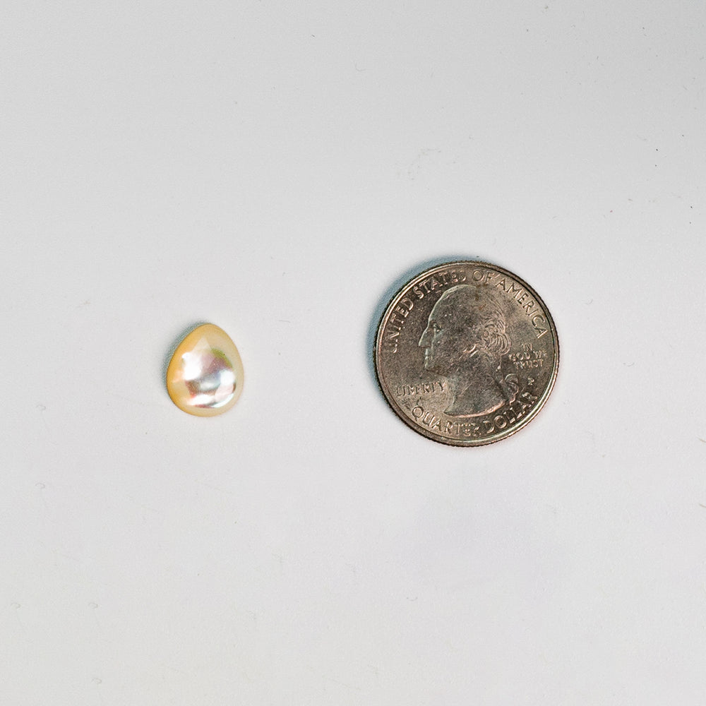 Mother of Pearl - 13