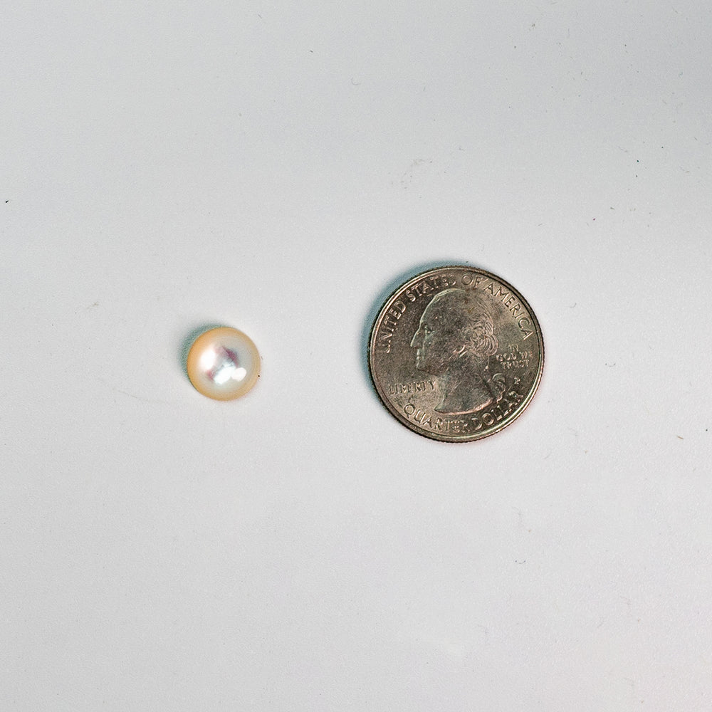 Mother of Pearl - 19