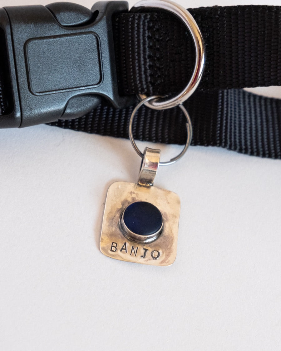 The Sea Glass Pet Collar