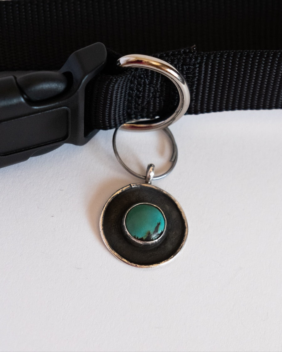 The Turquoise Pet Tag